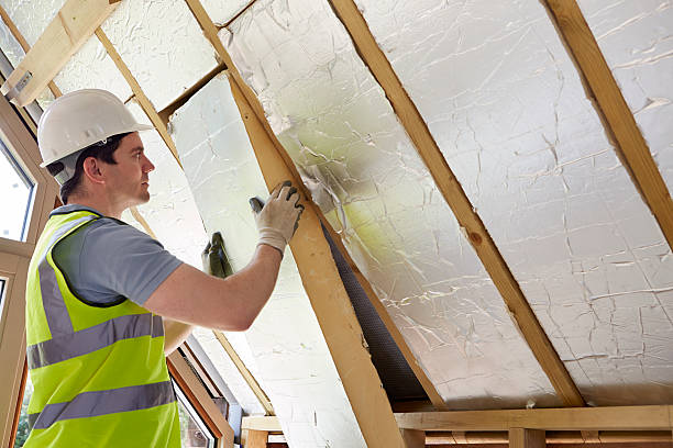 Best Cellulose Insulation in Fennville, MI