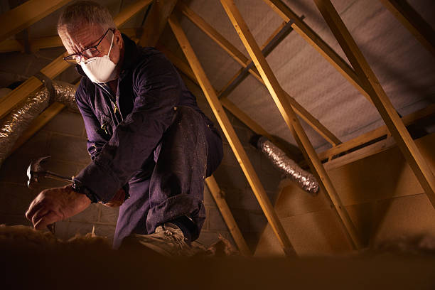 Best Residential Insulation in Fennville, MI