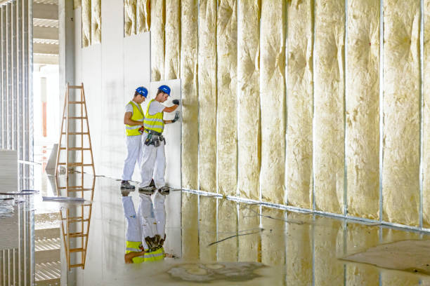 Best Fiberglass Insulation in Fennville, MI